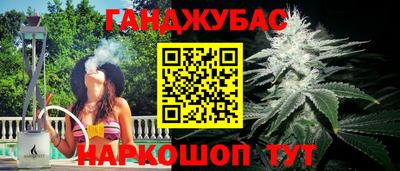 крисы Обь