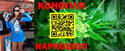 крисы Обь