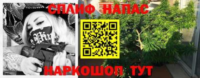 крисы Обь