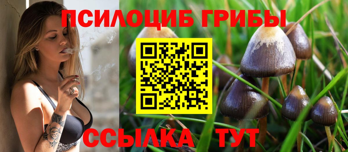 Псилоцибиновые грибы мицелий  Вход с VPN  Галлюциногенные грибы ЛСД  Славгород 